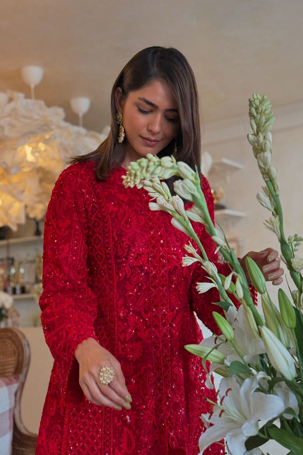 Mrunal Thakur's Grand Festival Celebrations With Family And Friends Pics Viral3