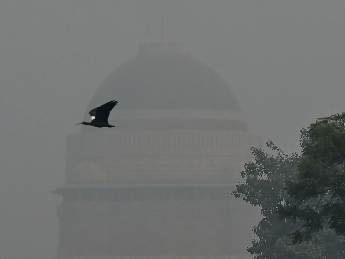 Air pollution amid heavy smoggy in New Delhi18