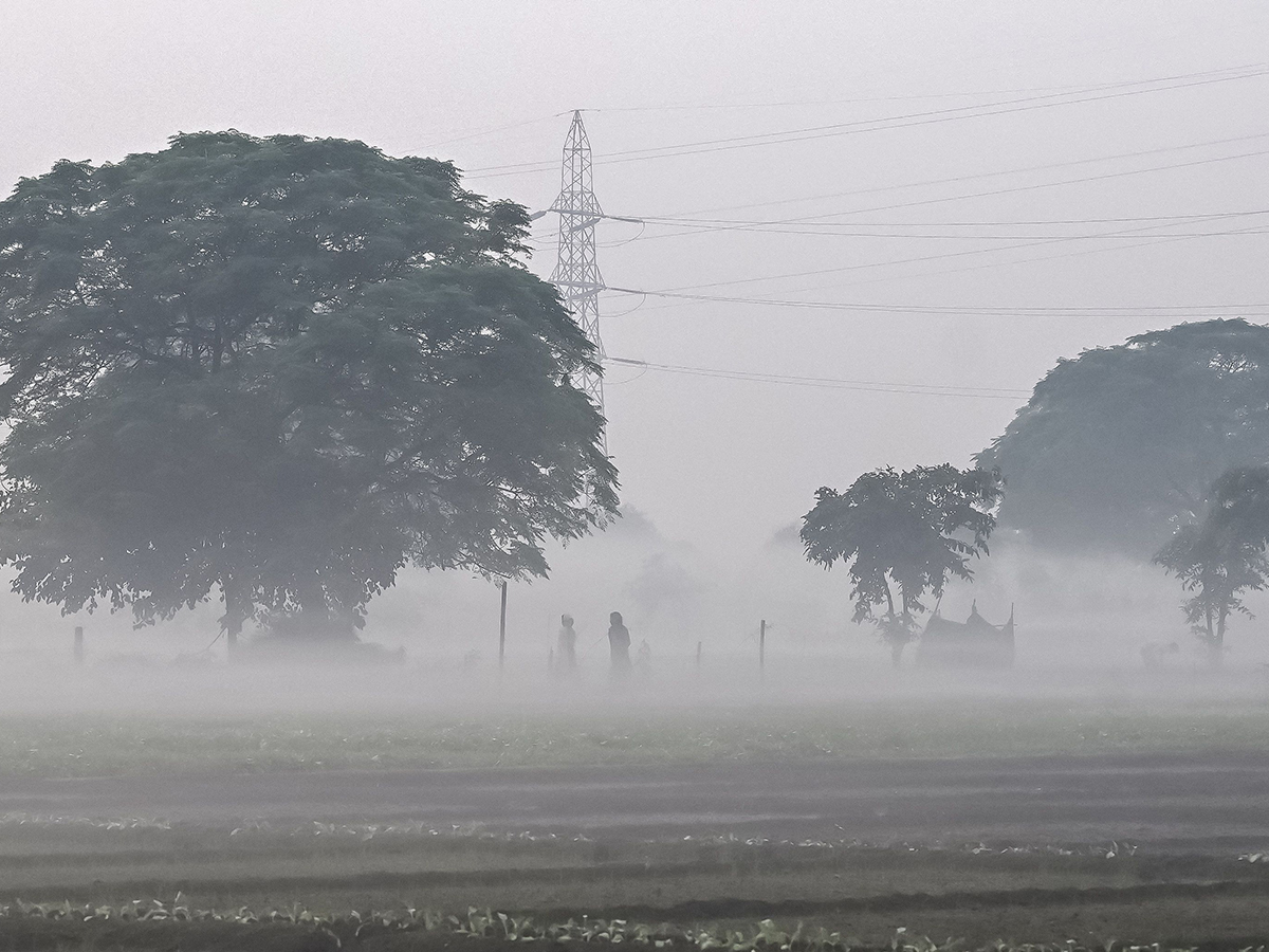 Air pollution amid heavy smoggy in New Delhi22