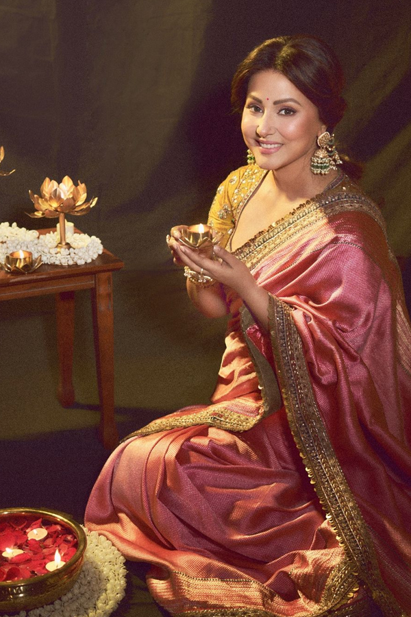 Bollywood Beauty Hina Khan Elegant Photos In Saree13