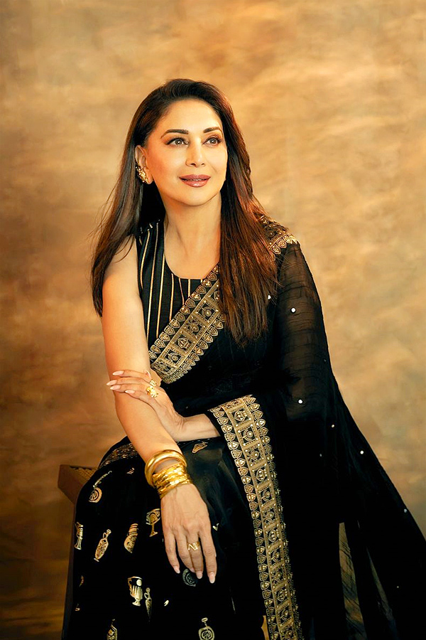 Bollywood Star actress Madhuri Dixit shares  magical Photos in black saree Photos2