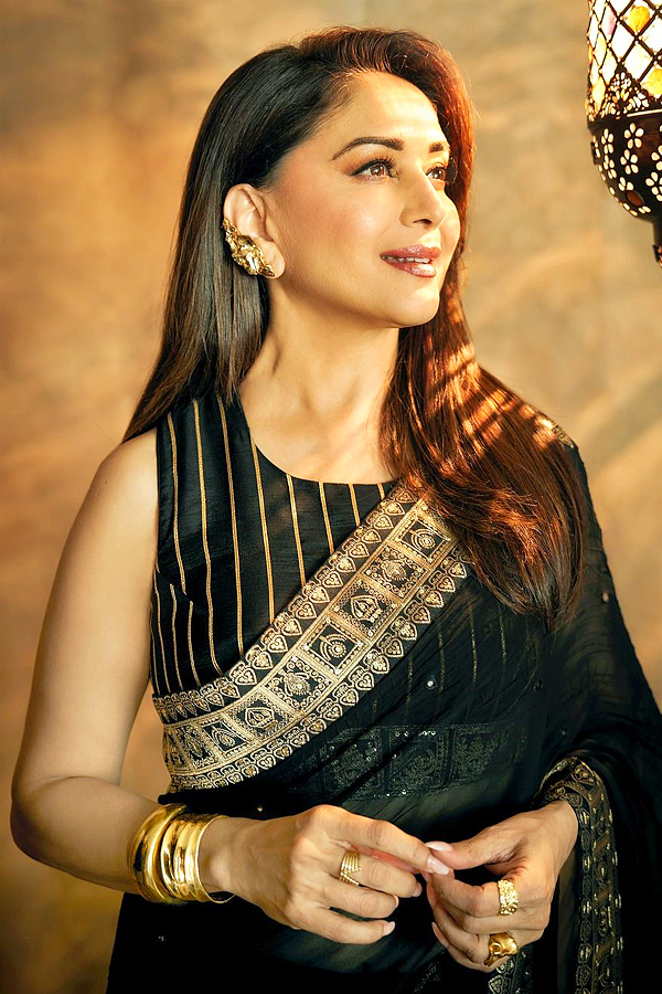 Bollywood Star actress Madhuri Dixit shares  magical Photos in black saree Photos5