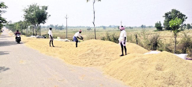 రహదారికి ధాన్యపు సిరి1