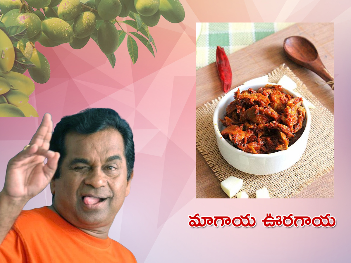 Top 10 Andhra Mango Pickle Recipes9