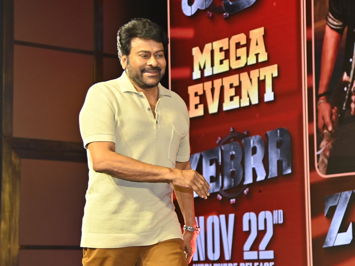 Zebra Movie Mega Event Photos22