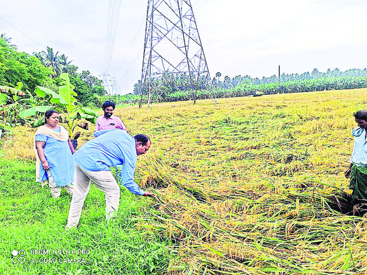 ఫ్రీమియంకు మంగళం 1