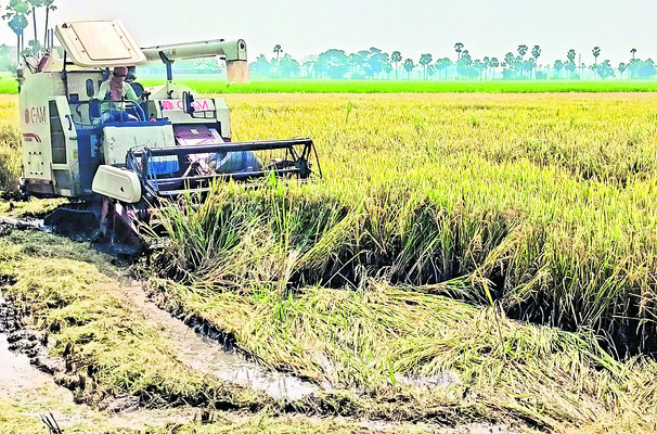 కృష్ణాజిల్లా2