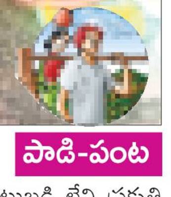 ఆహారం.. ఆరోగ్యం2