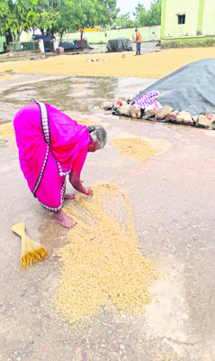 కల్లాల్లో తడిసి ముద్దయిన ధాన్యం 1