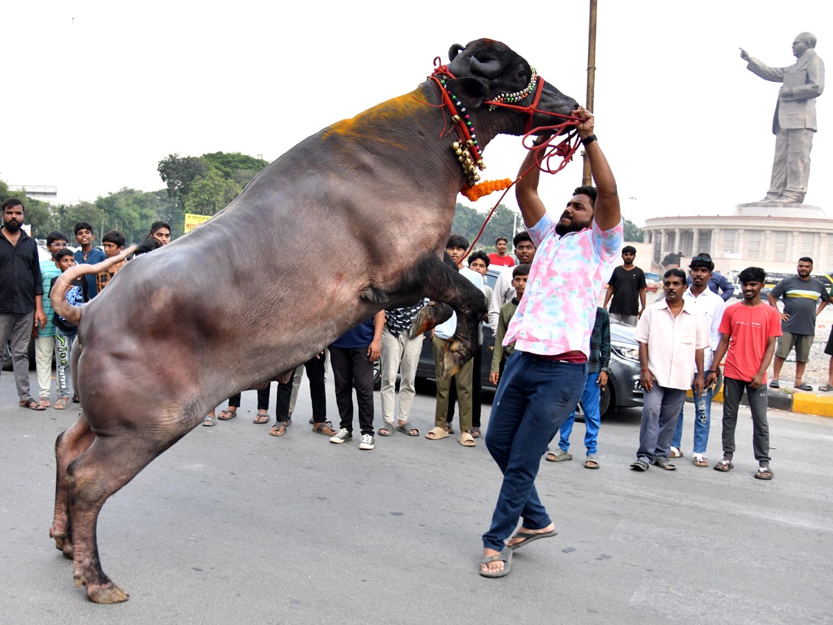 Grand Celebrations Of Sadar Festival In Hyderabad13