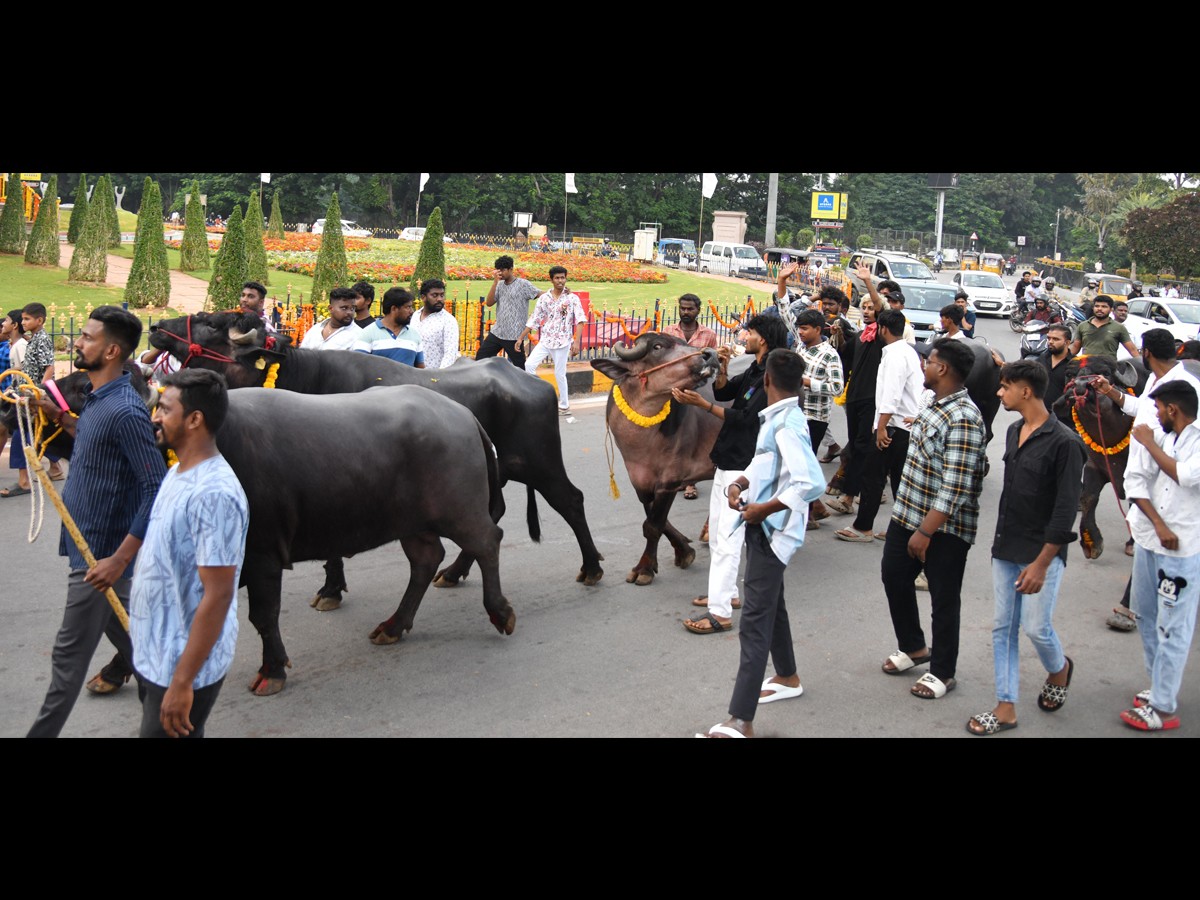 Grand Celebrations Of Sadar Festival In Hyderabad14