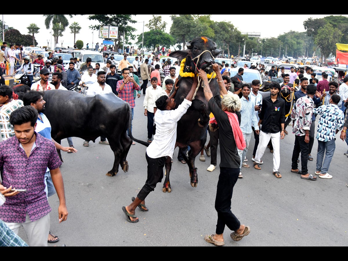 Grand Celebrations Of Sadar Festival In Hyderabad15