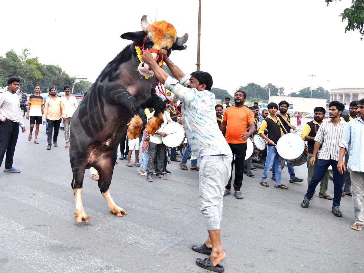 Grand Celebrations Of Sadar Festival In Hyderabad16