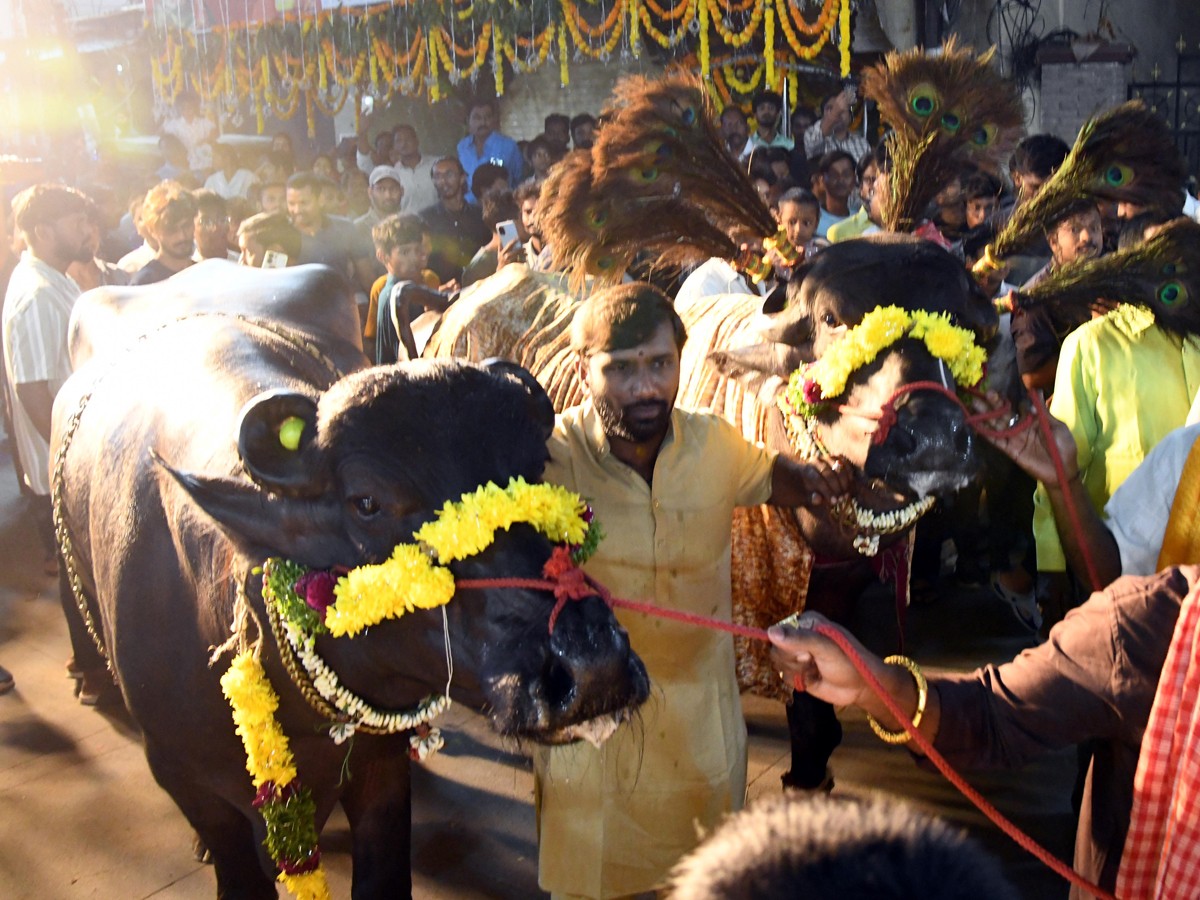 Grand Celebrations Of Sadar Festival In Hyderabad2