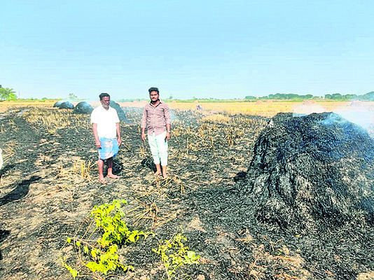 వరిపంట దగ్ధం1