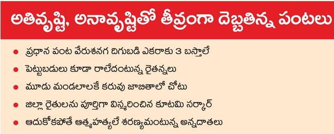 3,65,175 హెక్టార్లు జిల్లాలో సాగుభూమి విస్తీర్ణం1