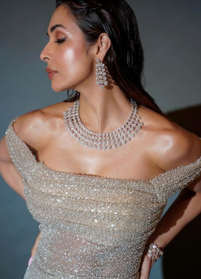 Bollywood beauty Malaika Arora with stunning poses in formal wear12