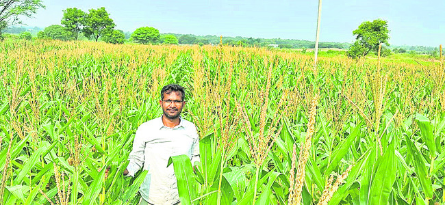 సాగుకు కదిలి1