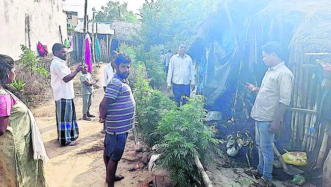 జాతీయ స్థాయి పోటీలకు ఏకలవ్య పాఠశాల విద్యార్థినిలు 1