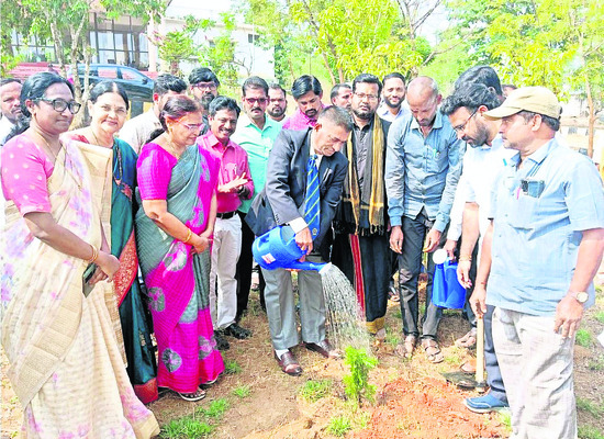 మూడు కిలోల గంజాయి స్వాధీనం 1