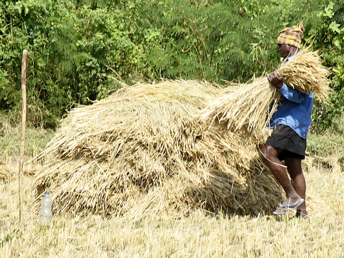 Best Photos of The Week in AP and Telangana Photo Gallery63