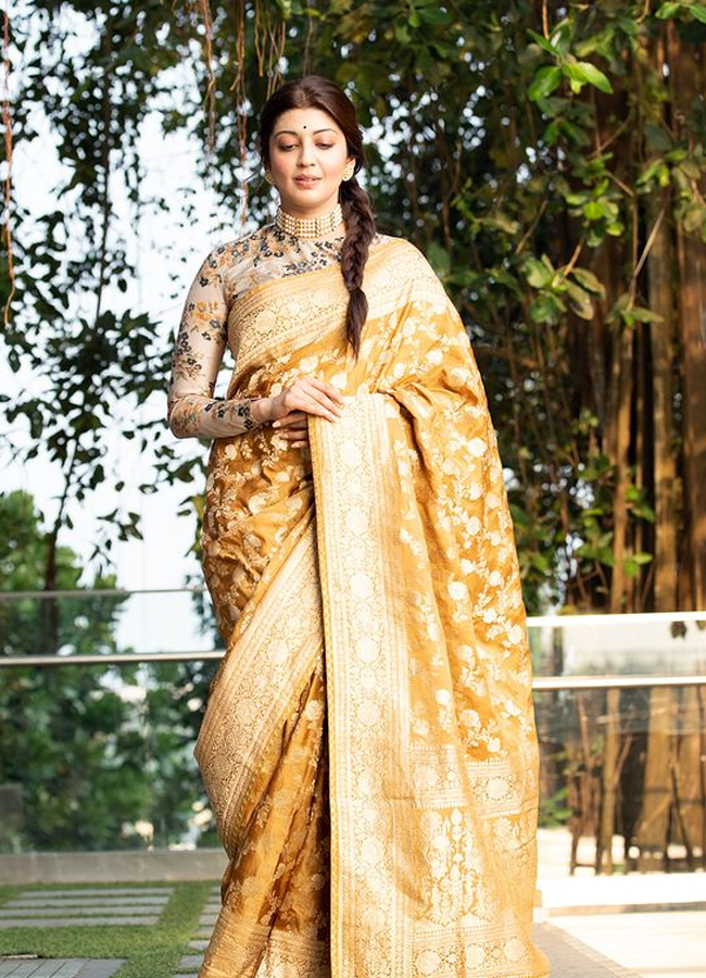 Actress Pranitha Traditional photos in Golden saree7