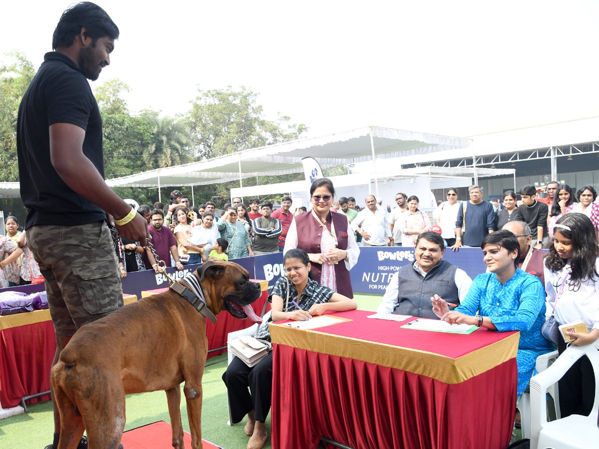 Pedigree Pro HyCan 20 24:  Grand Pet Show cats and dogs Photos14