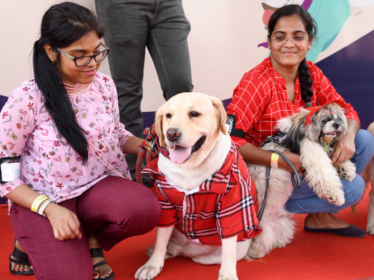 Pedigree Pro HyCan 20 24:  Grand Pet Show cats and dogs Photos8