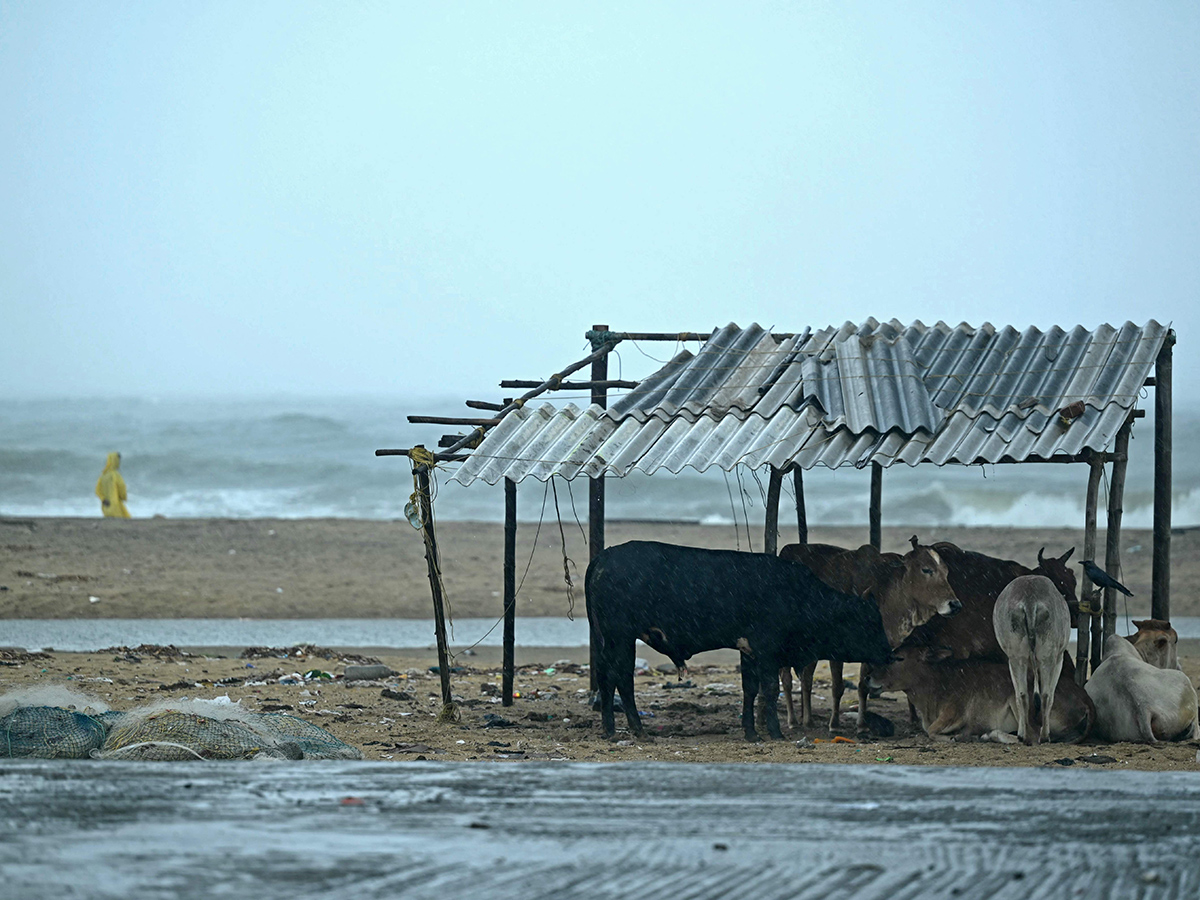 LIVE Updates : Tamil Nadu Rains Fengal Cyclone Photos11