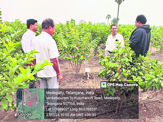 సమగ్ర యాజమాన్యమే కీలకం1