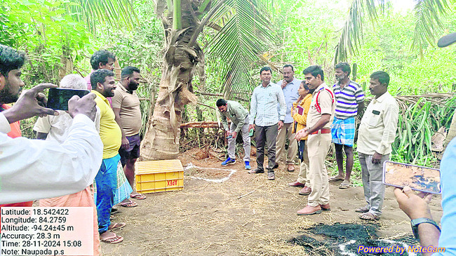 ● భయపెడుతున్న పులి 1