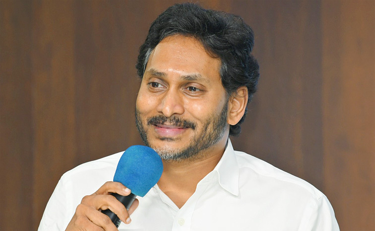 YS Jagan Mohan Reddy Meeting Krishna District Leaders Photos6