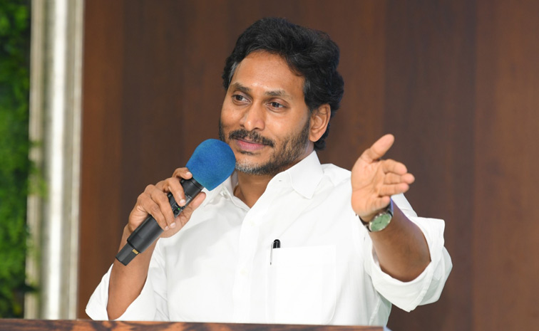 YS Jagan Mohan Reddy Meeting Krishna District Leaders Photos8