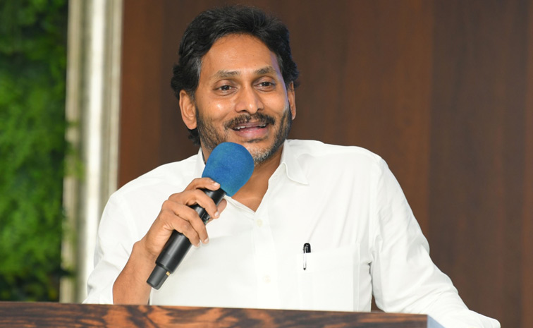 YS Jagan Mohan Reddy Meeting Krishna District Leaders Photos10