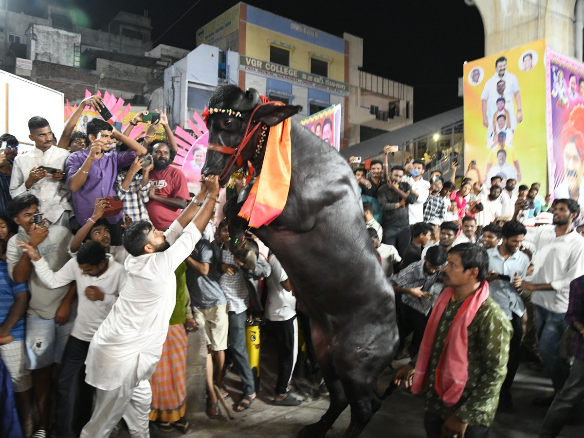 Sadar Festival Grand Celebrations At Narayanaguda12