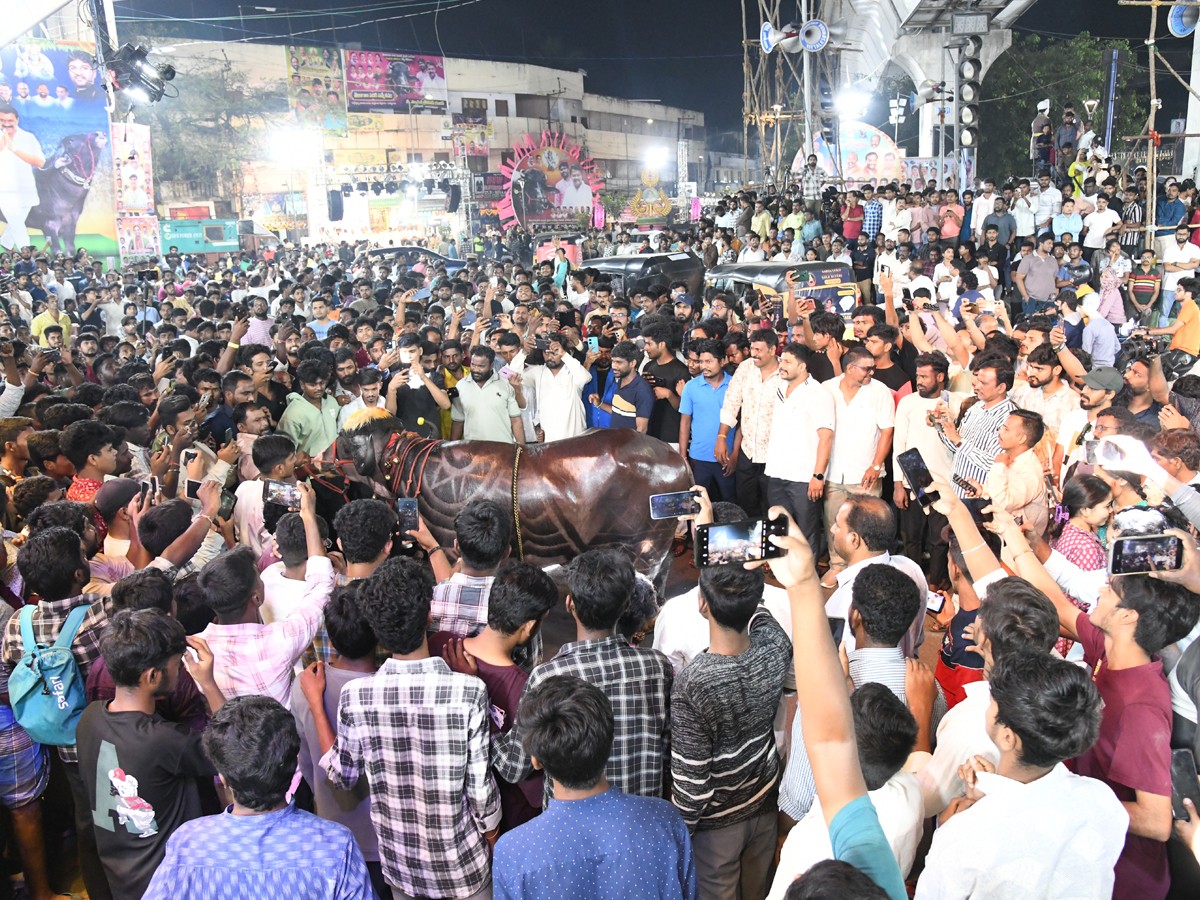 Sadar Festival Grand Celebrations At Narayanaguda8