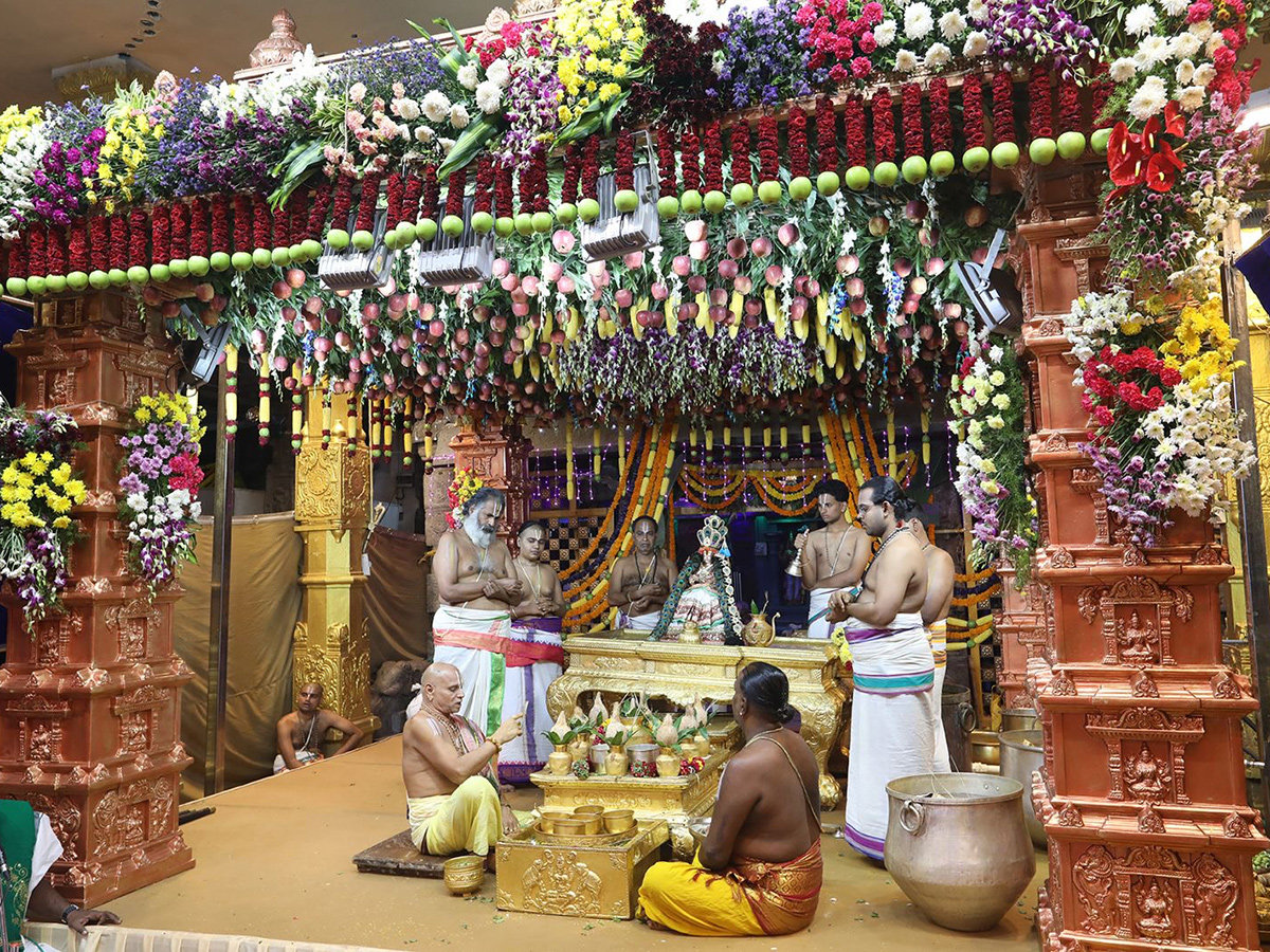 Tiruchanur Sri Padmavathi Ammavari Karthika Brahmotsavam2024 Photos15