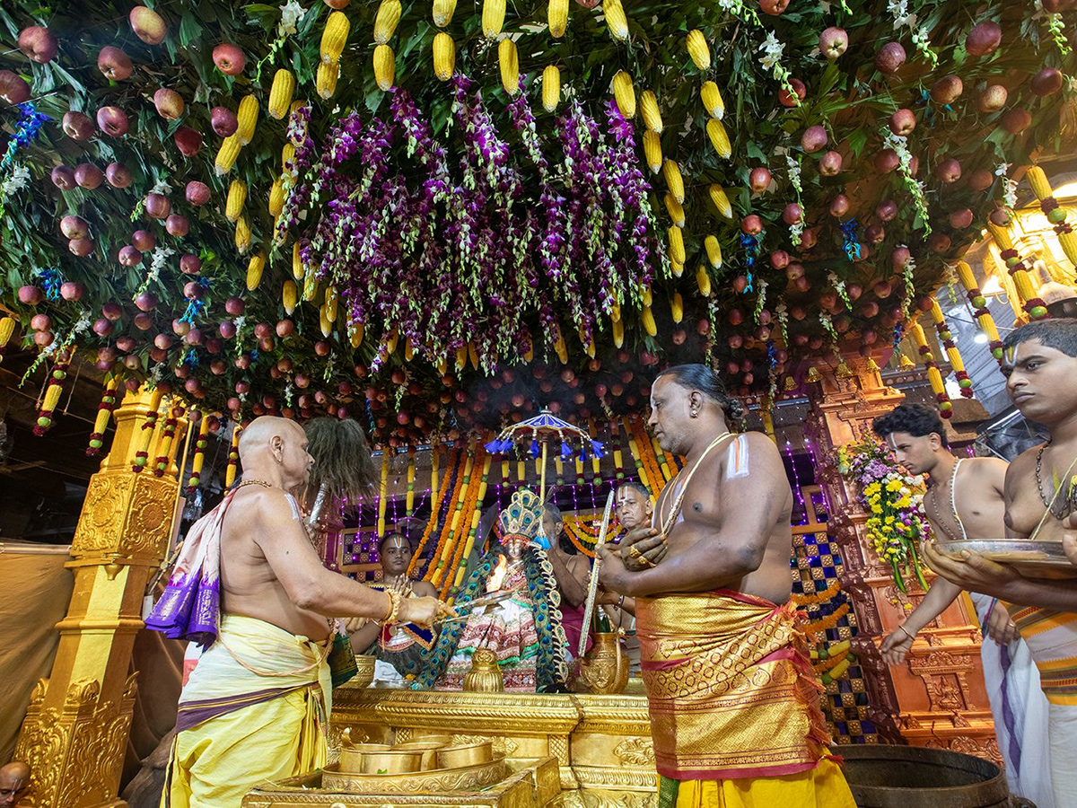 Tiruchanur Sri Padmavathi Ammavari Karthika Brahmotsavam2024 Photos3