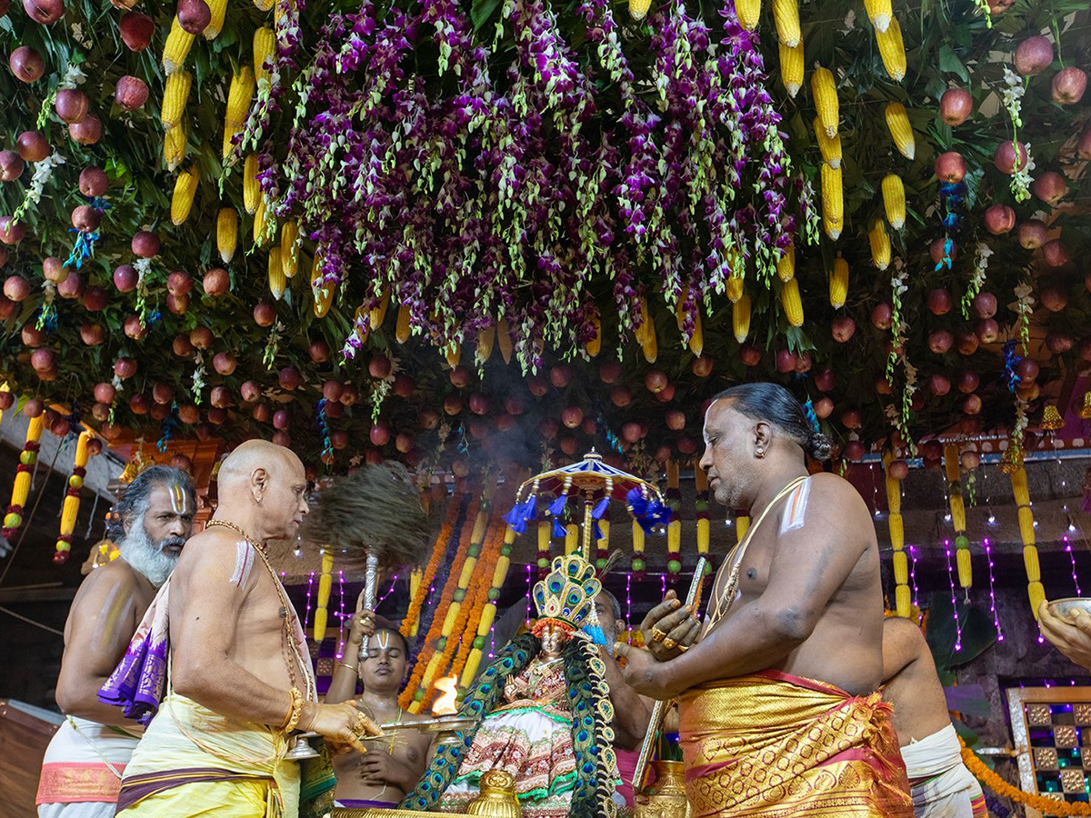 Tiruchanur Sri Padmavathi Ammavari Karthika Brahmotsavam2024 Photos4