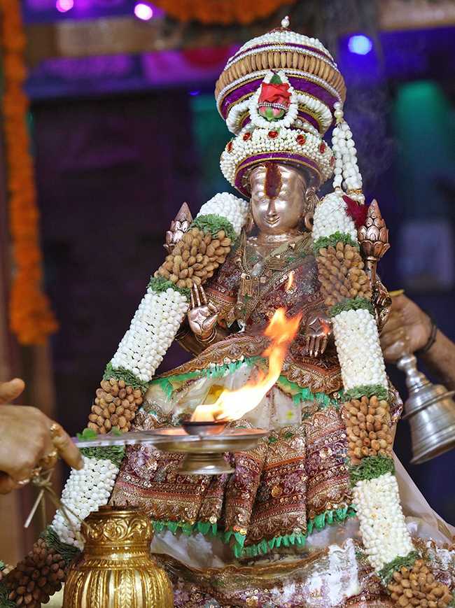 Tiruchanur Sri Padmavathi Ammavari Karthika Brahmotsavam2024 Photos5