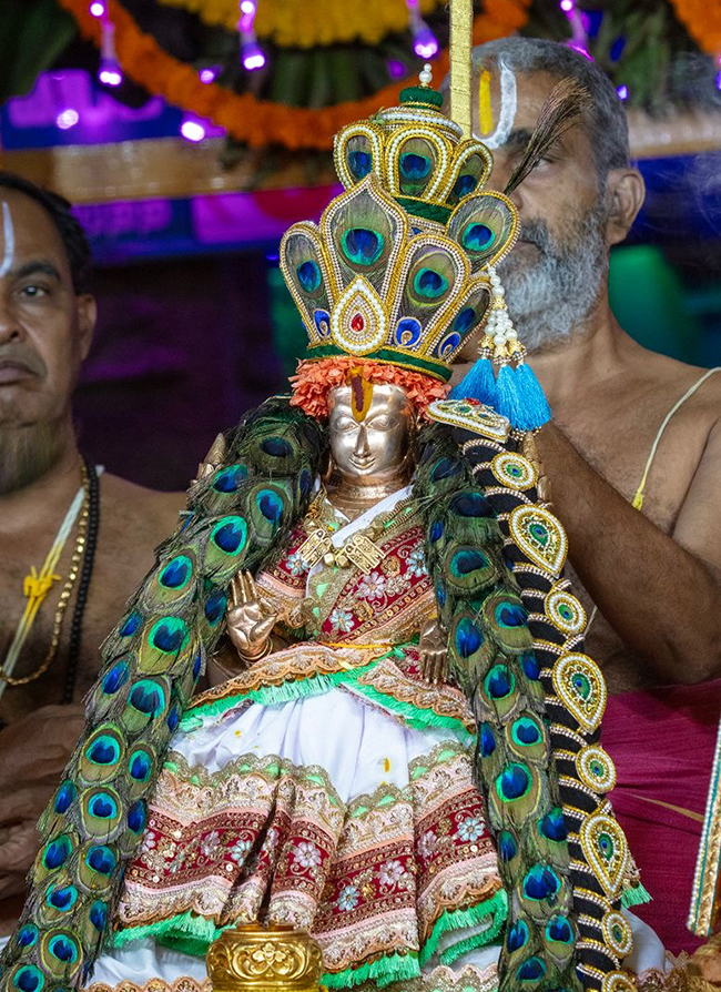 Tiruchanur Sri Padmavathi Ammavari Karthika Brahmotsavam2024 Photos8