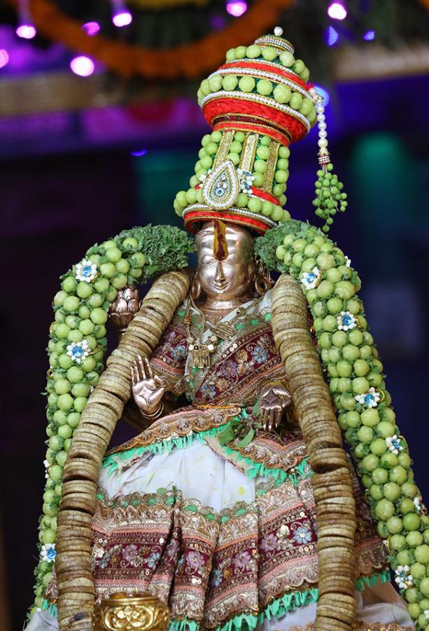 Tiruchanur Sri Padmavathi Ammavari Karthika Brahmotsavam2024 Photos9