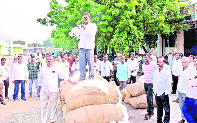 పత్తికి తేమ తంటా..1