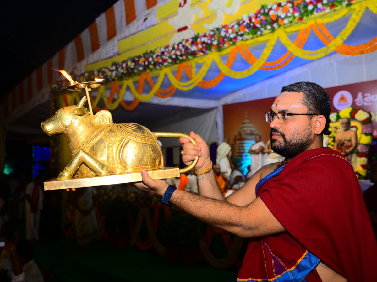 Karthika Masam at Srisailam Temple Photos11