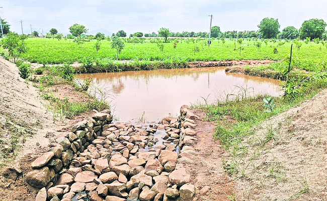 దక్కుతున్న ఉపాధి ఫలాలు 1