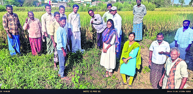 మొక్కుబడిగా ‘పొలం పిలుస్తోంది’..! 1