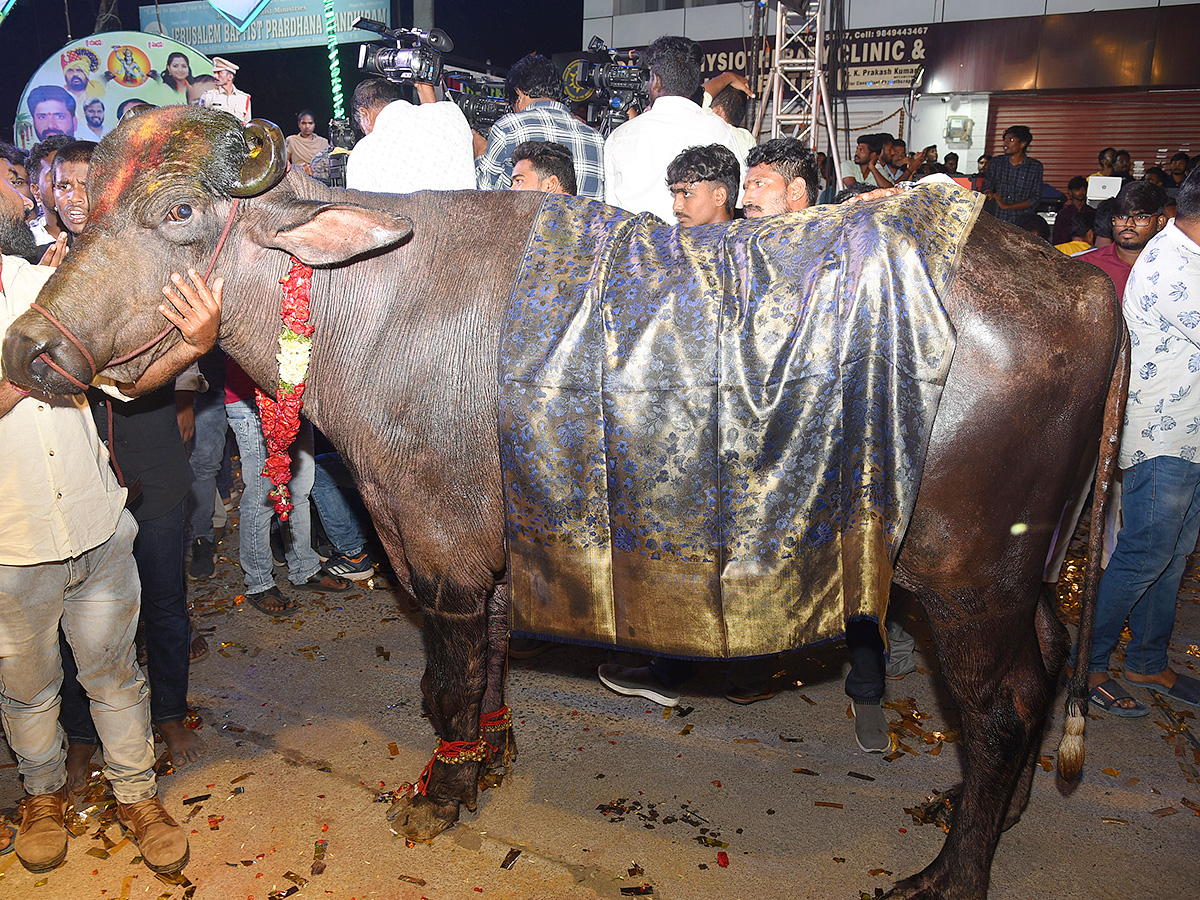 Sadar Festival at Hanamkonda Photos11