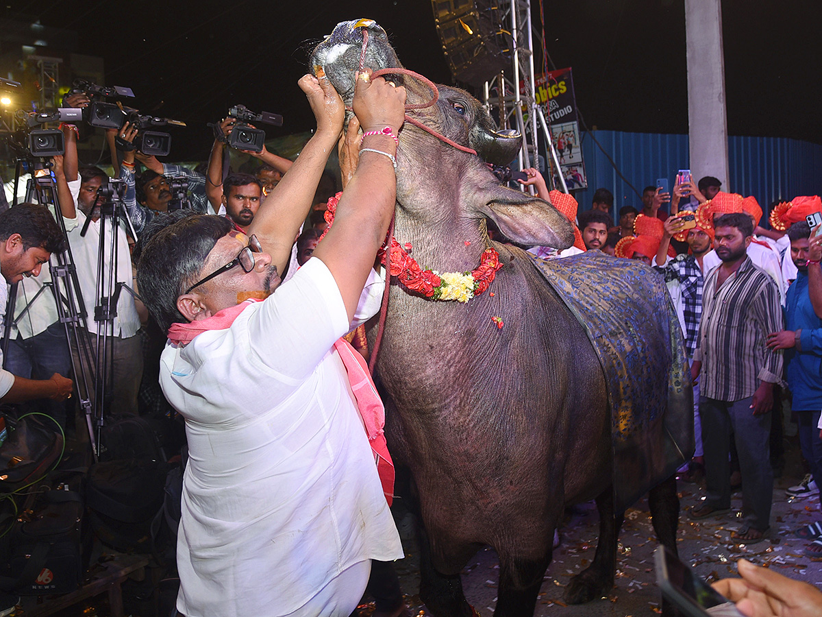 Sadar Festival at Hanamkonda Photos13