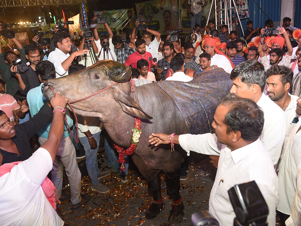 Sadar Festival at Hanamkonda Photos14