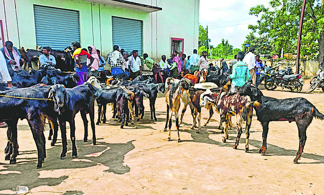 సెస్‌ను సగానికిపైగా నొక్కేస్తున్న వైనం 2